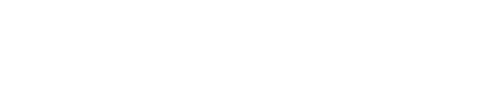 precarityfooter
